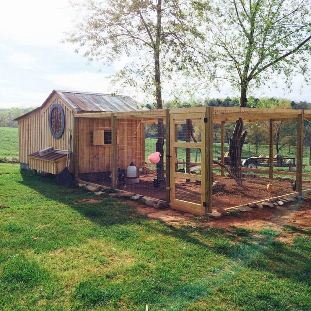 Backyard Diy Chicken Coop Ideas