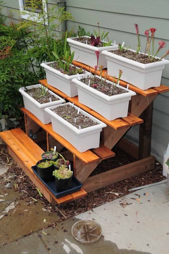 Backyard Diy Plant Stand Outdoor