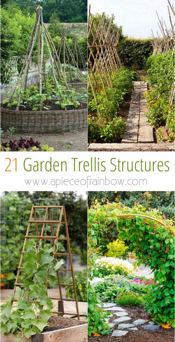 Beautiful Diy Trellis Ideas