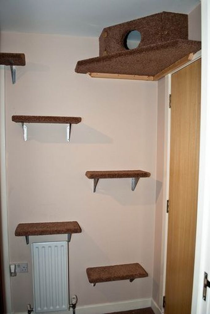 Cheap Diy Cat Wall Shelves