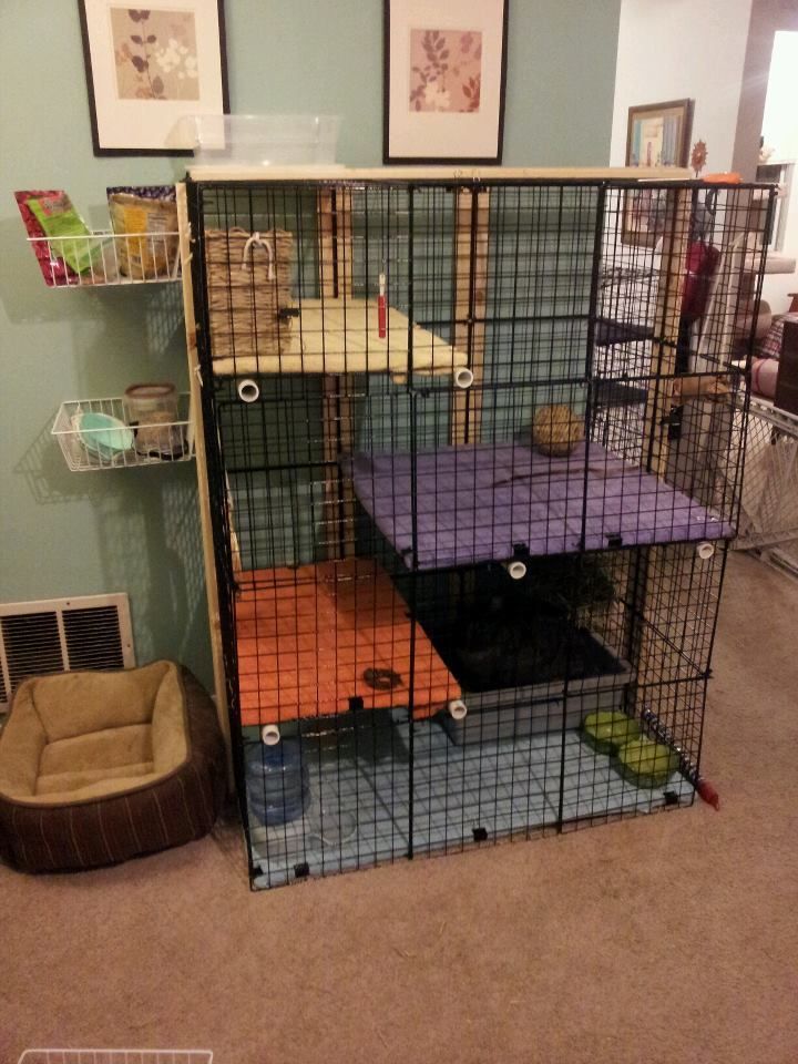 Cheap Diy Rabbit Cage Indoor