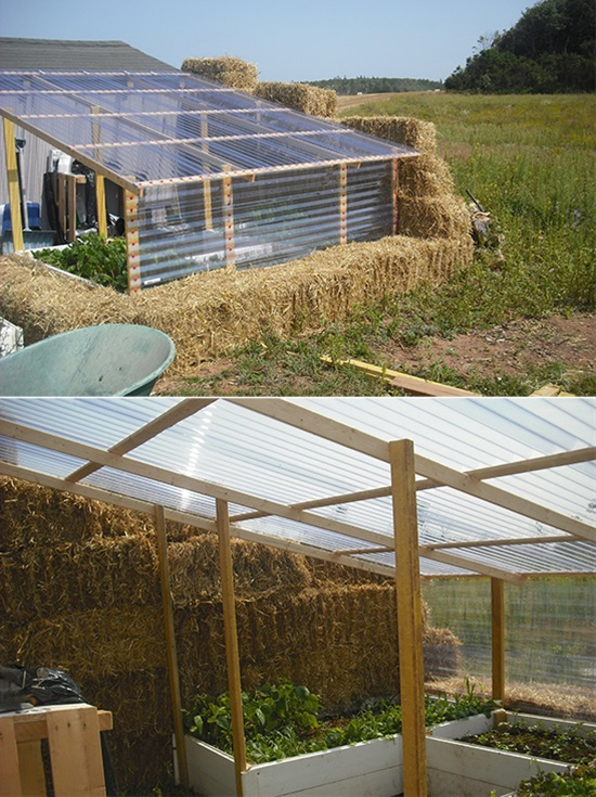 Creative Cheap Diy Greenhouse