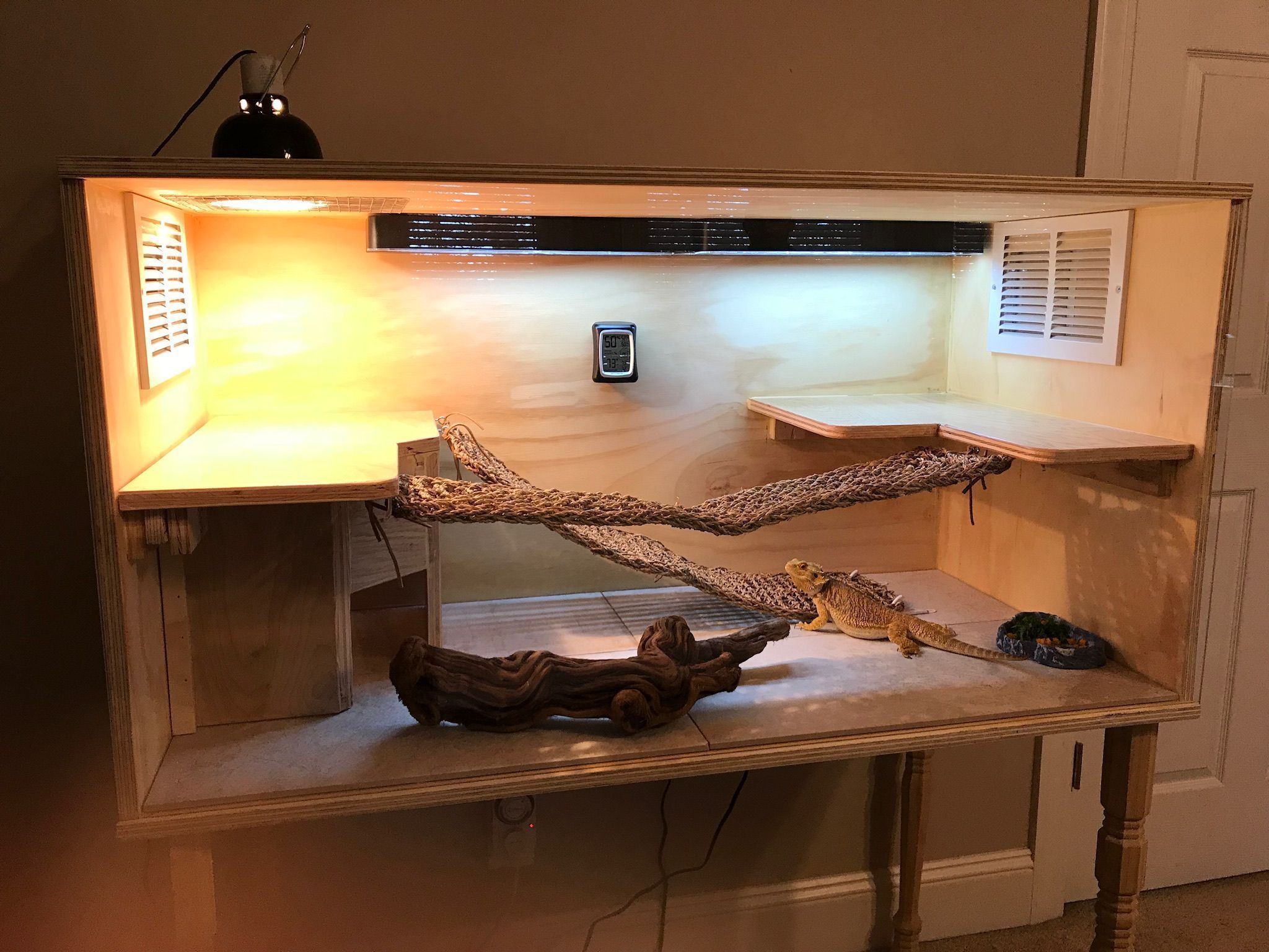 Diy Bearded Dragon Terrarium Ideas