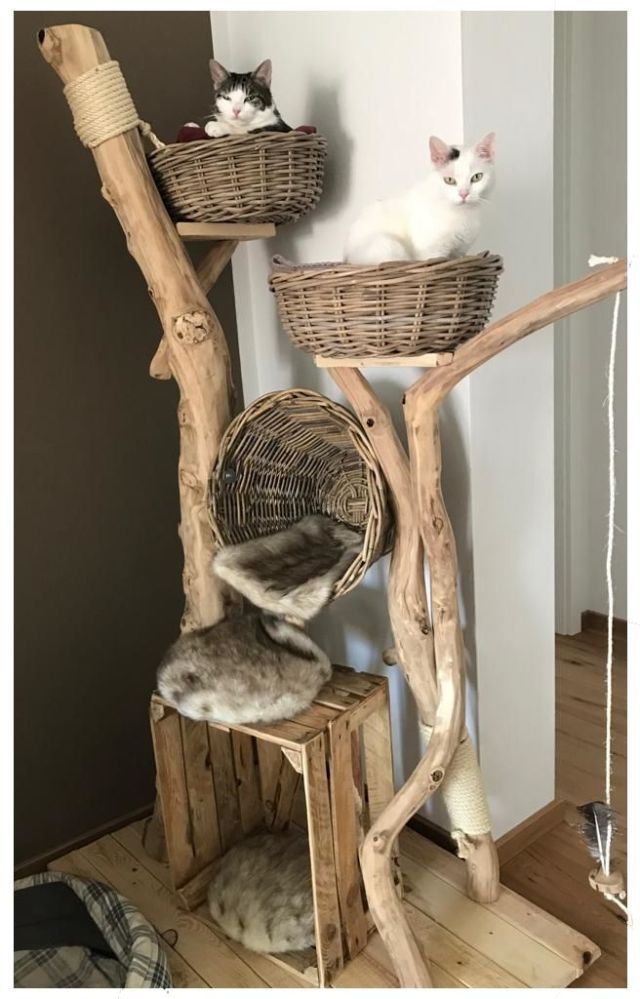 Diy Cat Tree Diy Cat Tree