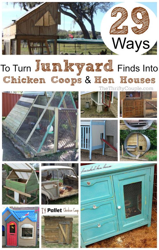 Diy Cheap Chicken Coop Ideas