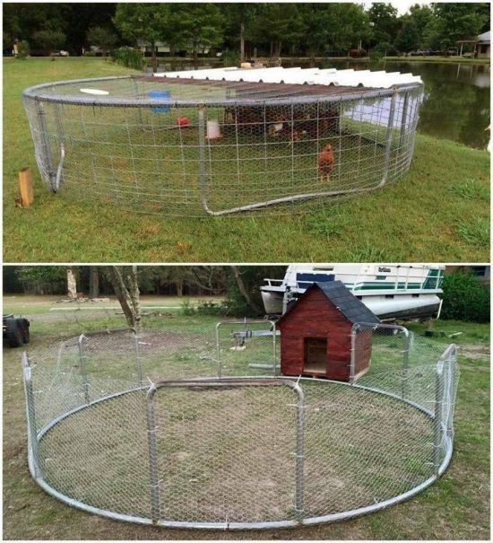 Diy Chicken Coop Ideas Cheap