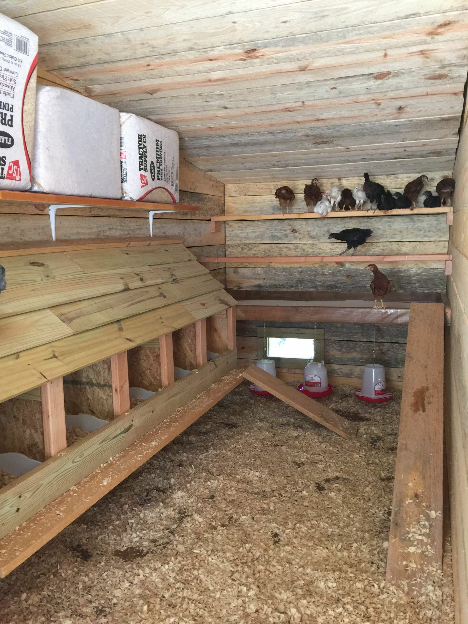 Diy Chicken Coop Ideas Inside