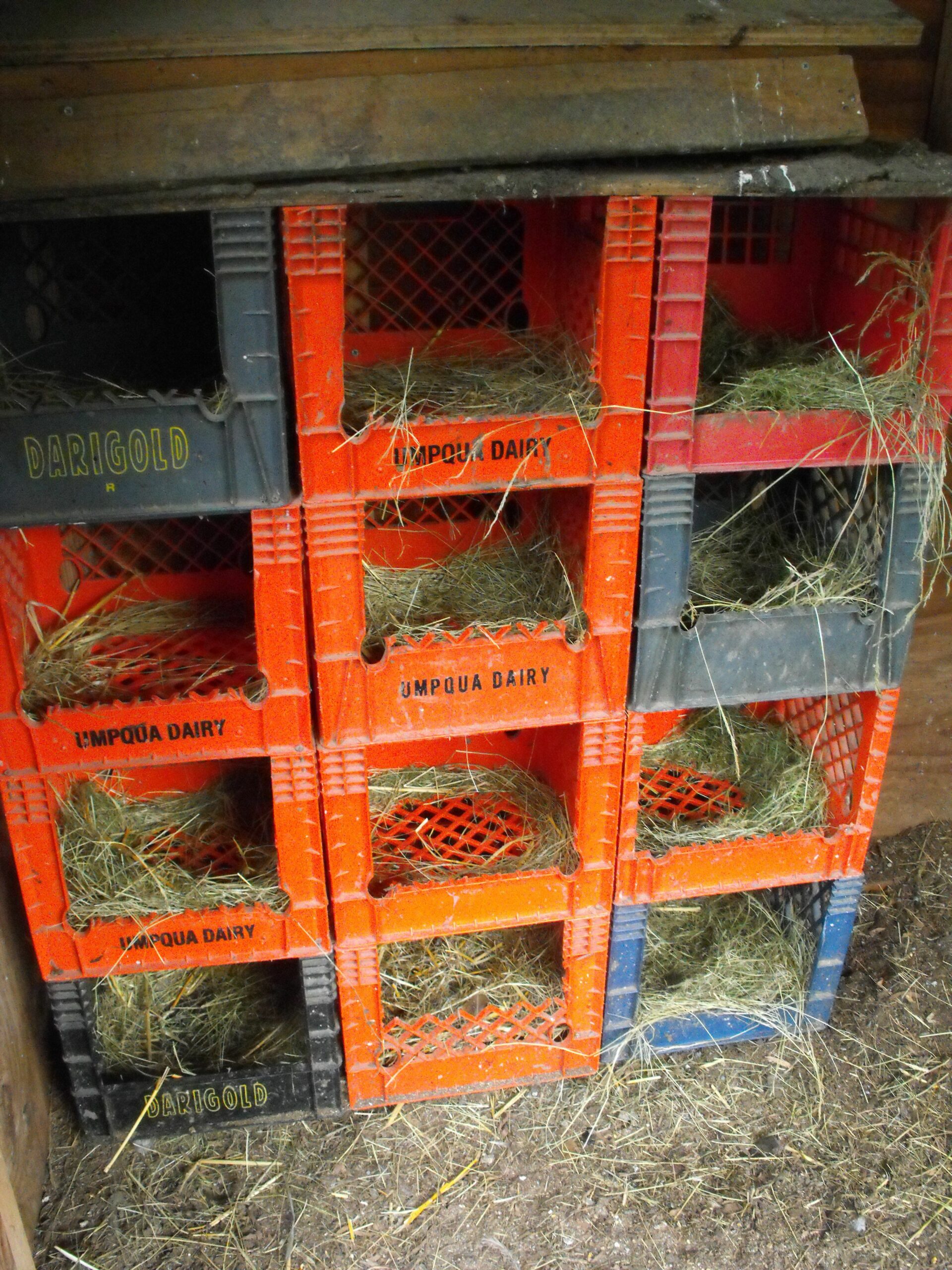 Diy Chicken Coop Nesting Boxes