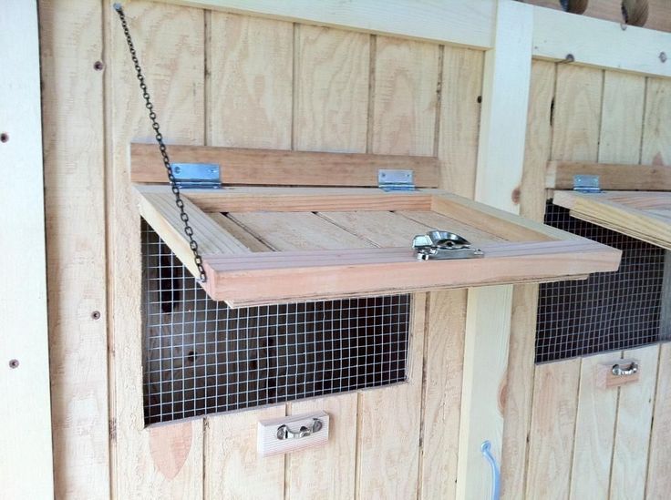 Diy Chicken Coop Windows