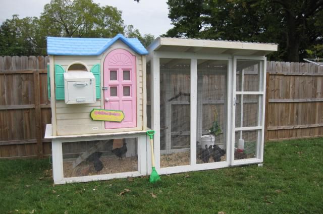 Diy Chicken Coop