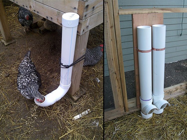 Diy Chicken Water Feeder Pvc Pipe