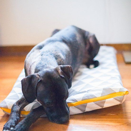 Diy Dog Bed Cover No Zipper