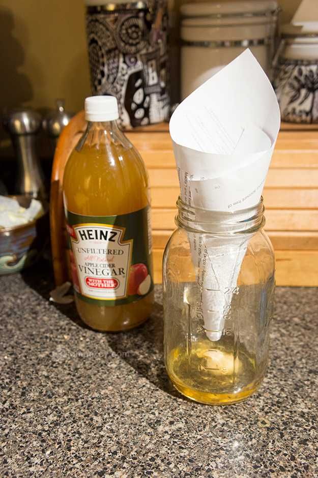 Diy Fly Trap Apple Cider Vinegar