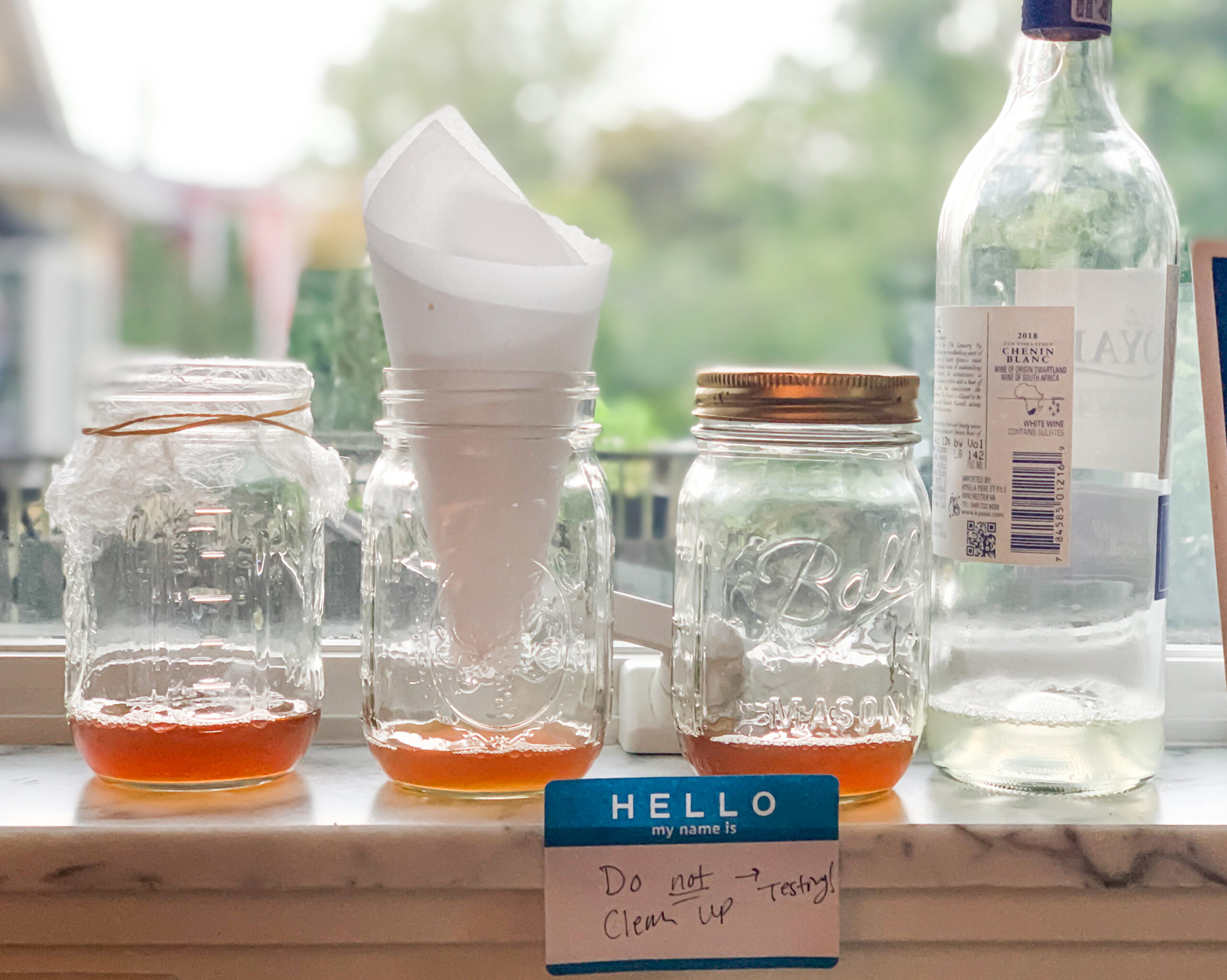 Diy Fly Trap Indoor Without Apple Cider Vinegar