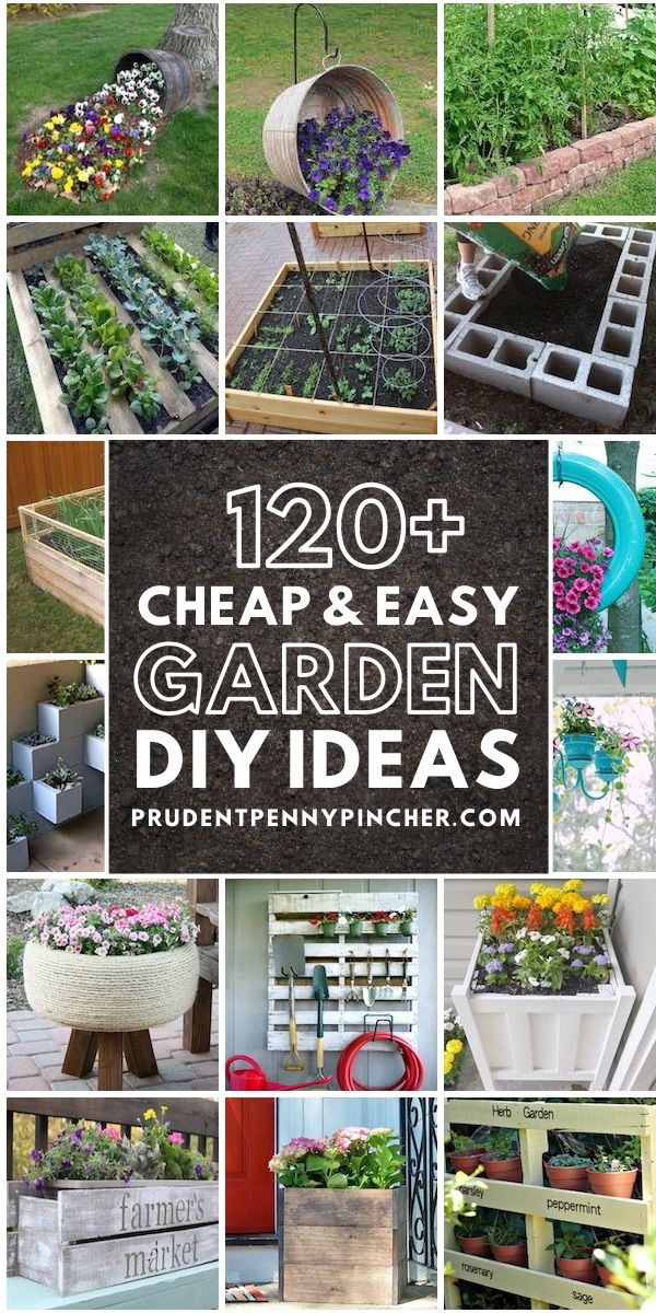 Diy Garden Ideas On A Budget