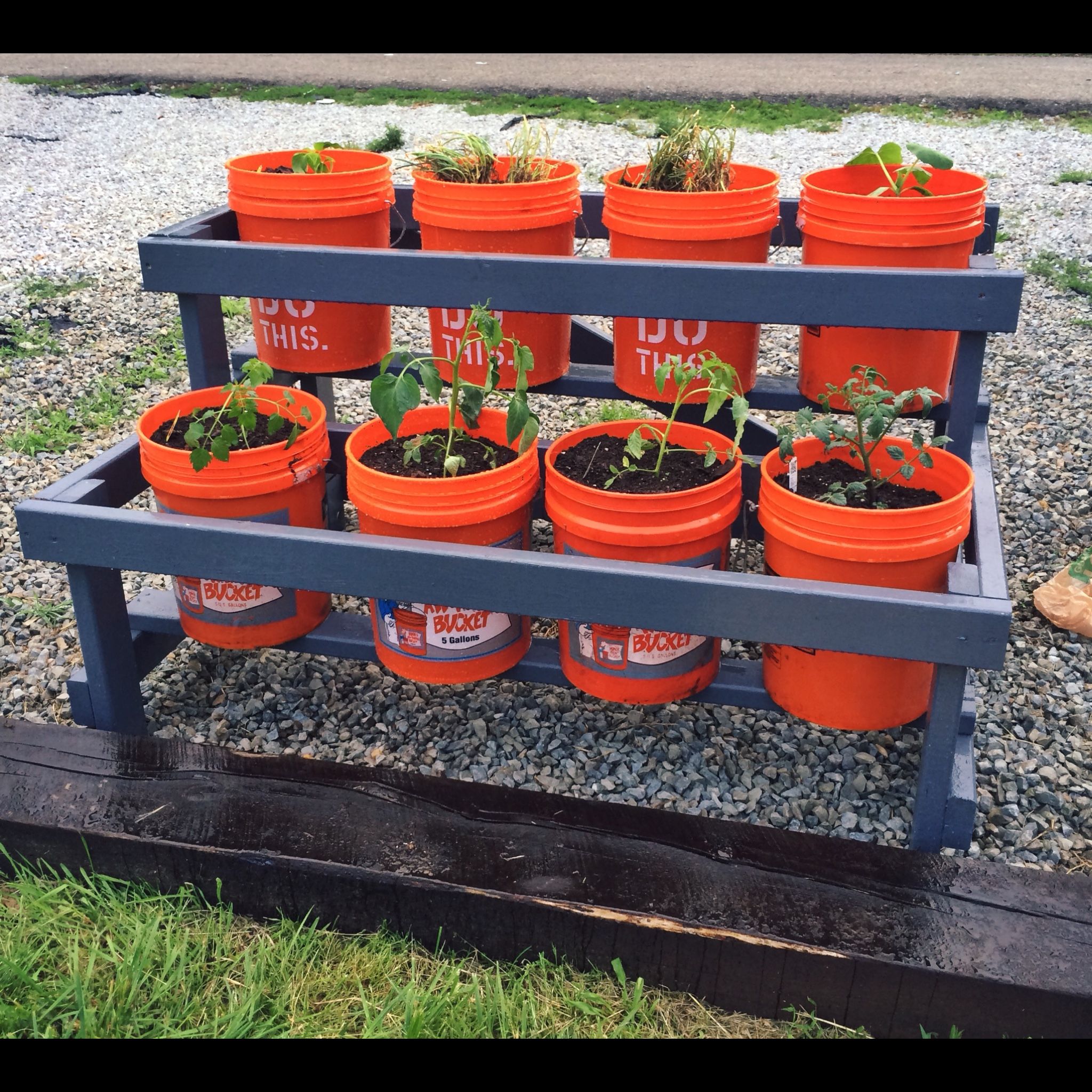 Diy Garden Ideas With Buckets