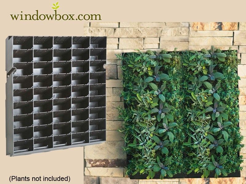 Diy Green Wall Vertical Garden