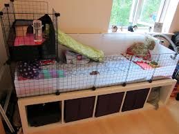 Diy Guinea Pig Cage With Storage