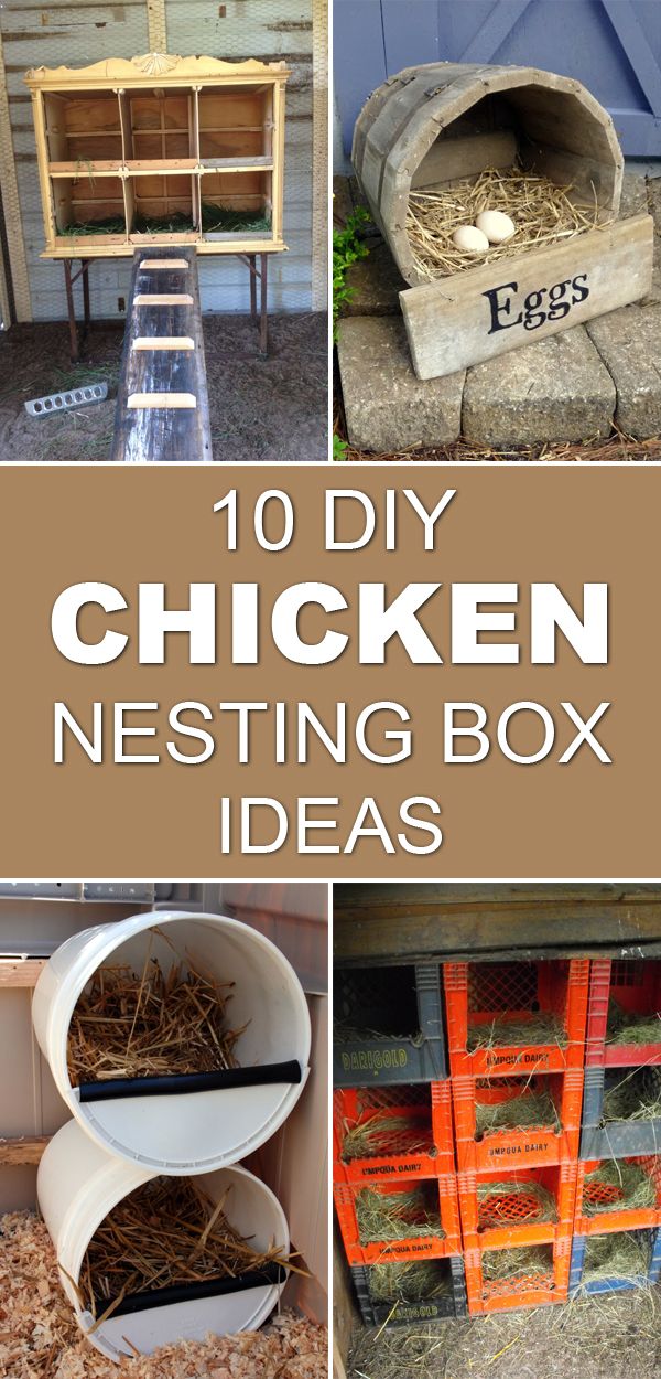 Diy Hen Nesting Boxes