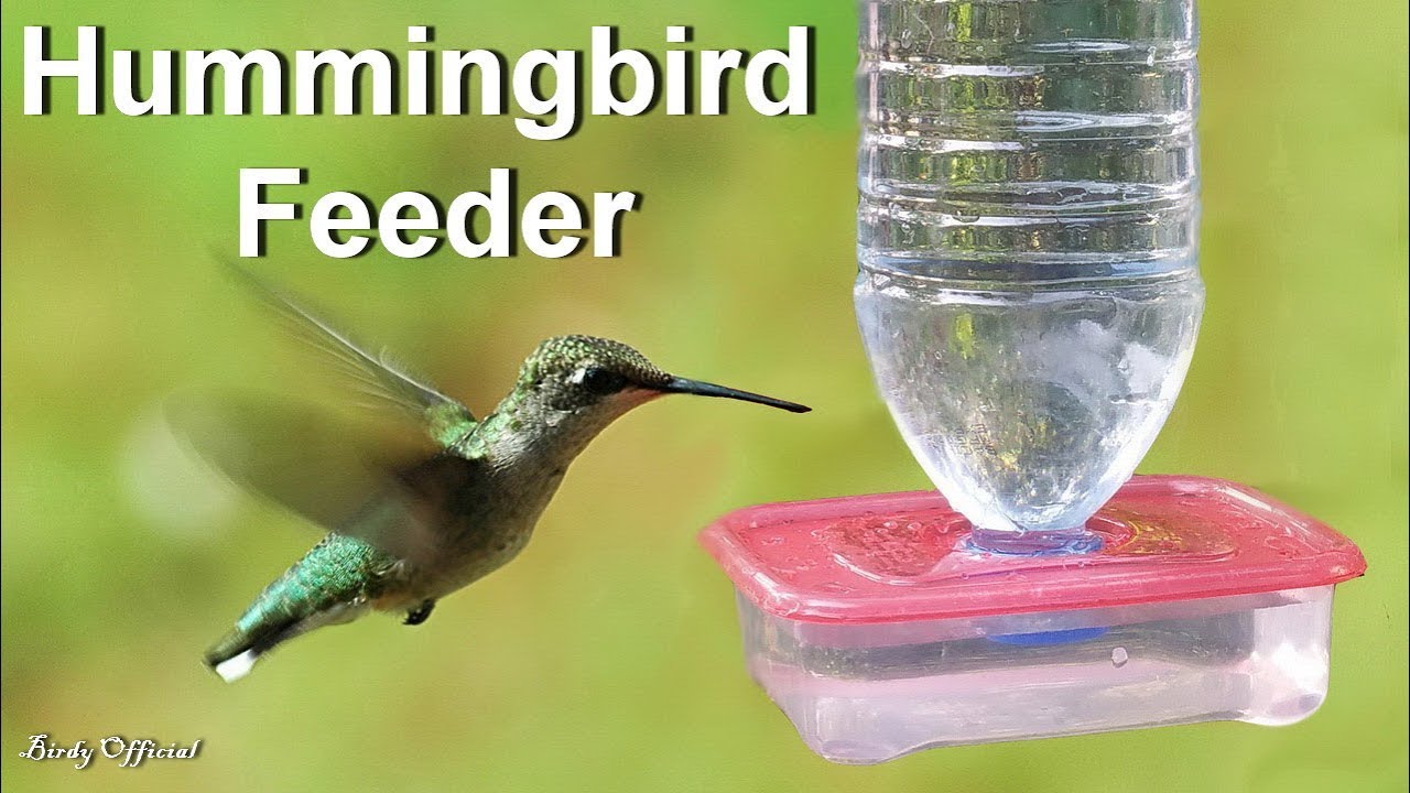 Diy Hummingbird Feeder Bottle