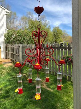 Diy Hummingbird Feeder Chandelier