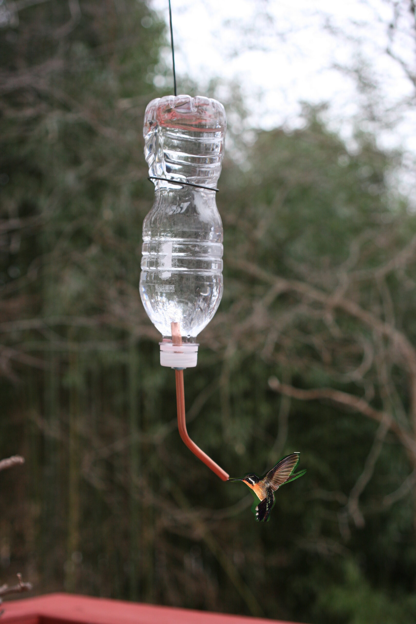 Diy Hummingbird Feeder Water Bottle