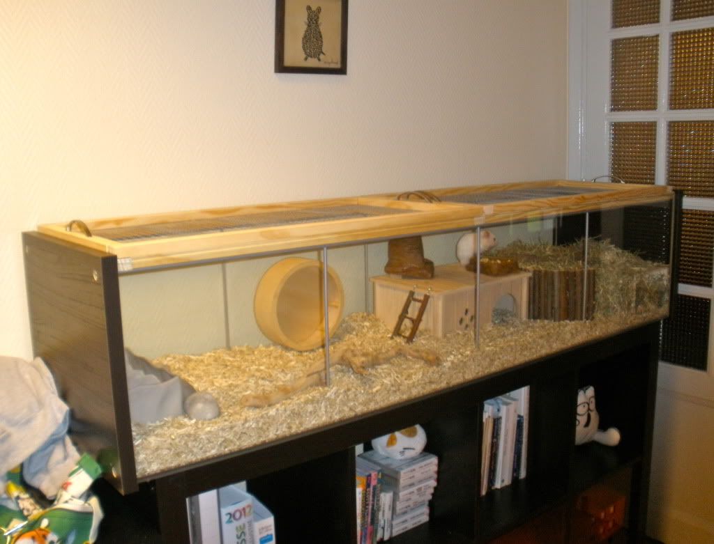 Diy Ikea Detolf Hamster Cage