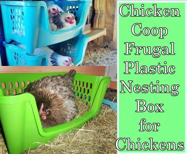 Diy Plastic Chicken Nesting Boxes