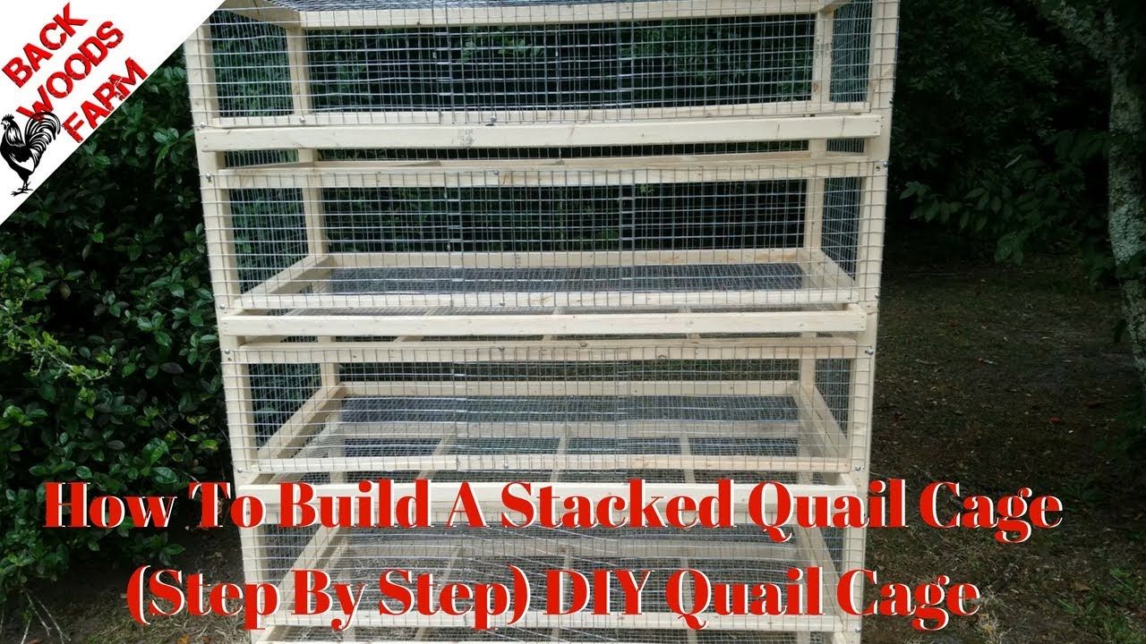 Diy Quail Cage Design