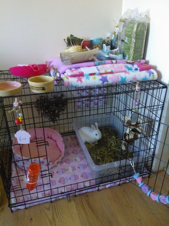 Diy Rabbit Cage Accessories