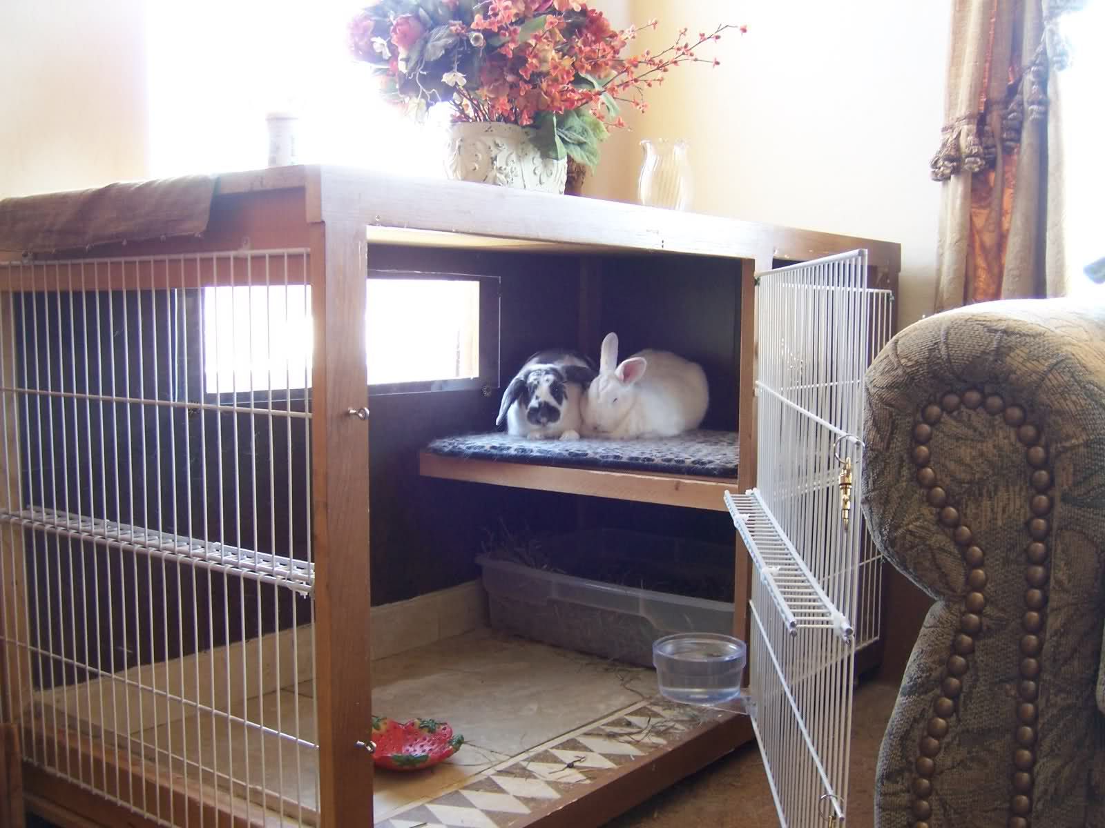 Diy Rabbit Cage Indoor
