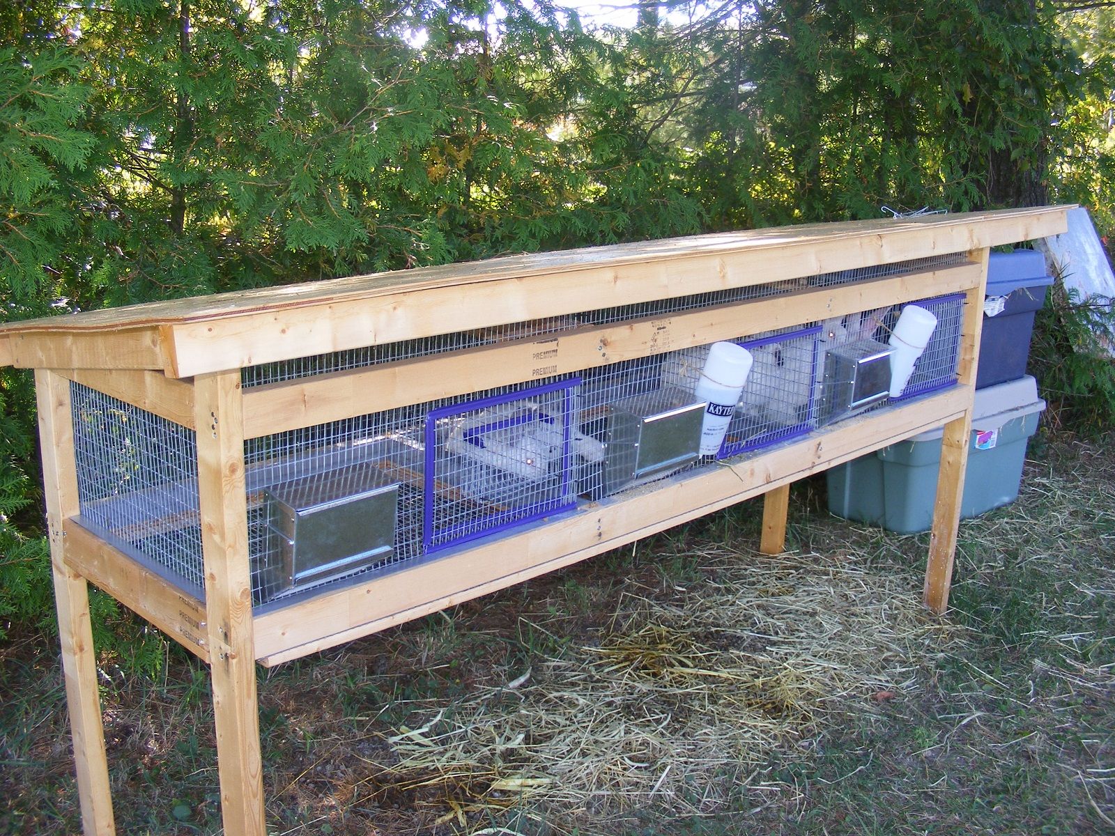 Diy Rabbit Hutch Outdoor