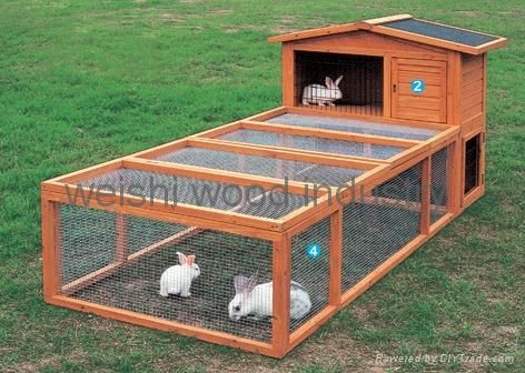 Diy Rabbit Hutch With Run