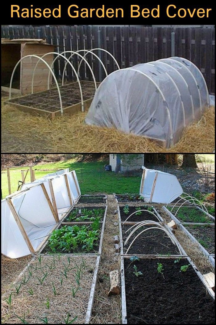Diy Raised Garden Bed With Cover