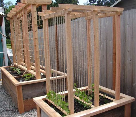Diy Raised Garden Bed With Trellis