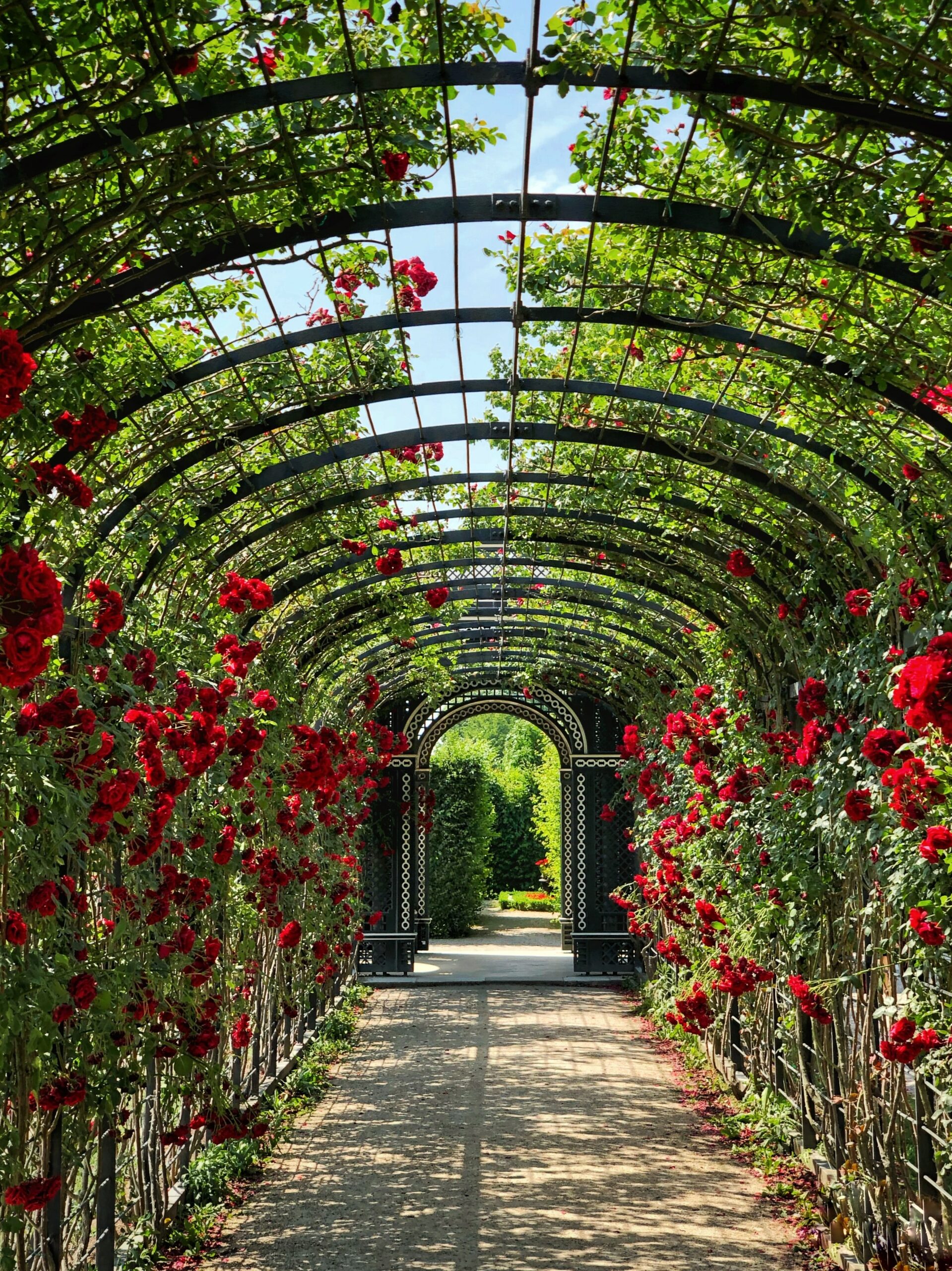 Flower Garden Background Images Hd